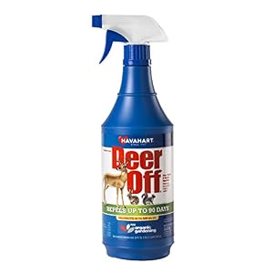 Product image for barcode 711590320019