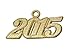 Graduation Year Tassel / Charm,