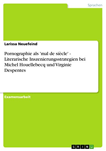 Pornographie als 'mal de siècle' - Literarische Inszenierungsstrategien bei Michel Houellebecq und Virginie Despentes (German Edition)