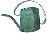 ROBERT ALLEN MPT01505 Danbury Metal Watering Can, Surf Light Blue