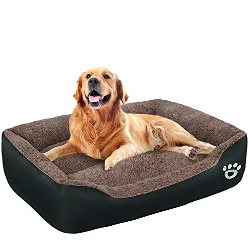 large size dog beds