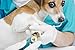 SCOBUTY Professional Dog Nail Clippers and Trimmer