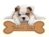 Design Design Bulldog Puppy Thank You Note Cards 20 Count 119-04031