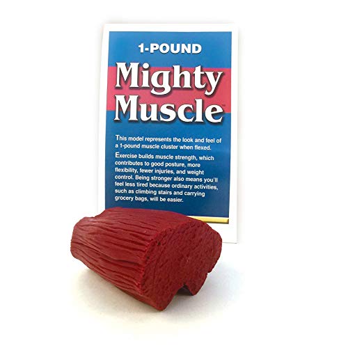 Mighty Muscle (1 lb)