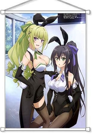 Amazon 超人高校生たちは異世界でも余裕で生き抜くようです B2タペストリー 神崎桂音 一条葵 掛ける絵 アニメ 萌えグッズ 通販