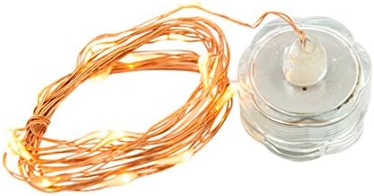 IARR 6 20 LED Fairy Twinkle Copper Wire ( 9' 8" ) String Lights with Tea Lights for DIY Wedding Centerpiece or Table Decorations, Warm White