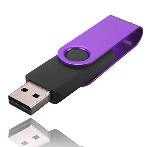 Creazy® 1GB Swivel USB 2.0 Metal Flash Memory Stick Storage Thumb U Disk (Purple)