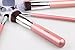 Jessup Kabuki 10pcs Pink/Silver Cosmetics Makeup Brush Tools kit Buffer Eyeliner Blending Eye Concealer Power Foundation Handmade Fiber Hair Brush Set T068