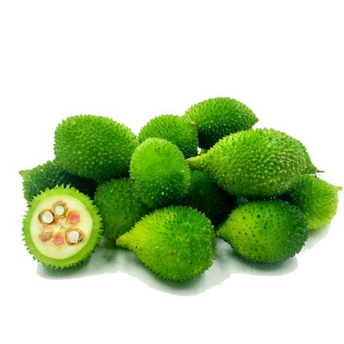 Fresh Bitter Gourd Forest, 500g Amazon.in Grocery & Gourmet Foods