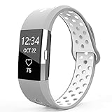 Band for Fitbit Charge 2 Heart Rate, Replacement Fitness Accessory Wristband (Z06-Gray,White, Small)