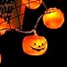 KAILEDI. Halloween String Lights, LED Pumpkin Lights, Holiday Lights for Outdoor Decor,2 Modes Steady/Flickering Lights(20 One Pumpkin Lights, 9.8 feet) (Orange)