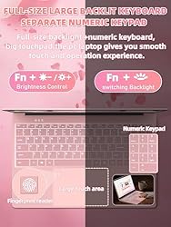 Rumtuk 16" Rose Gold Laptop, Celeron N5105