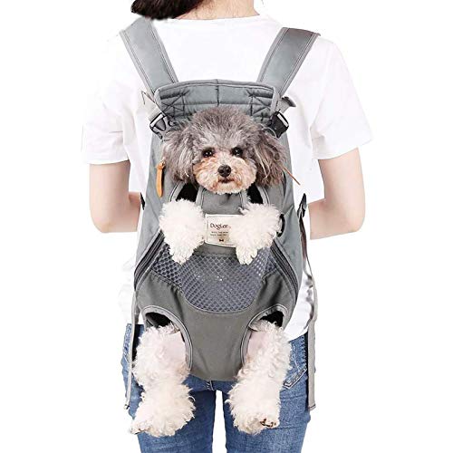 kong dog backpack