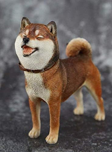 shiba amazon