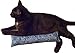 West Coast Pet Products 15