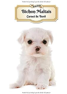 Amazonfr Bichons Bien Les Comprendre Et Bien Les