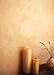 Birsppy Veneziano Venetian Plaster by Vasari - Smooth Finish - makes 5 gallons
