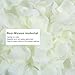 BESKIT Artificial Silk Rose Petals for Romantic Night, Wedding, Party, Anniversary Flower Decorations (Ivory White, 3000 PCS)
