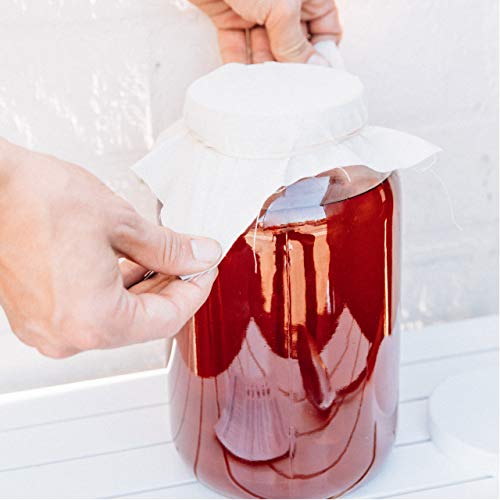 6 Organic+Kombucha+Joshua+Tree+Artificial