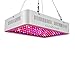 ColoFocus 1000W LED Grow Light, Double Chips Indoor LED Plant Grow Light Kit, Full Specturm for Plants Veg and Flower, Plants (10W Leds 100Pcs)