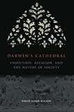 Darwin's Cathedral: Evolution, Religion, and the Nature of Society