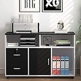 Tribesigns Wood File Cabinet, 2 Drawer Storage Printer Stand, Mobile Lateral Filing Cabinet with Locks and Wheels, Open Storage Shelves for Study, Home Office (Black&White)