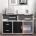 Tribesigns Wood File Cabinet, 2 Drawer Storage Printer Stand, Mobile Lateral Filing Cabinet with Locks and Wheels, Open Storage Shelves for Study, Home Office (Black&White)
