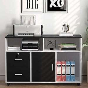 Tribesigns Wood File Cabinet, 2 Drawer Storage Printer Stand, Mobile Lateral Filing Cabinet with Locks and Wheels, Open Storage Shelves for Study, Home Office