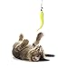 Cat Toys Wand Interactive Feather Teaser Stick and Exerciser Attachments Retractable Fishing Rod with 6 Refills Feathers Set for Cats Kitten (Worm)