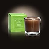 Aquiesse Cherimoya Soy Votive Candle