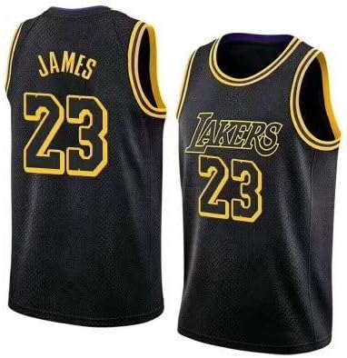 LosAngeles Lebron #23 Lakers Men's Jersey Swingman Jersey Icon Edition