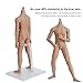 Phicen Level 1/6 Scale Super-Flexible Seamless Muscular Bodybuilding Male Body Doll with Stainless Steel Skeleton, No Head Emulational Ordinary Complexion Action Figure Body