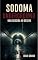 Livro Sodoma Underground: Uma Descida ao Desejo (Romances Eróticos Livro 6)