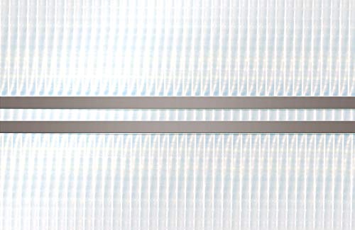 CASO VC100 Vakuumierer - Vakuumiergerät, Lebensmittel bleiben bis zu 8x länger frisch - natürliche Aufbewahrung ohne… – Bild 6