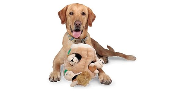 hide a squirrel dog toy amazon