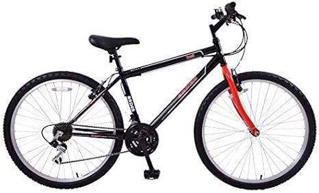 13 bike frame age
