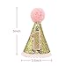 Litaus 1st Birthday Decorations, Happy Birthday Banner, 1st Baby Girl Number 1 Balloon, Pom Poms, Birthday Hat for 1st Birthday Girl Outfit, Girls Birthday