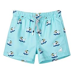 SURF CUZ Boys Swim Trunks Toddler Swim Shorts UPF
