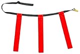 Champion Sports CHSTFFARD Triple Flag Football Set Red 12Pk Adult Size 32-39In