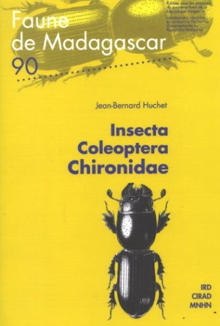 Insecta Coleoptera Chironidae