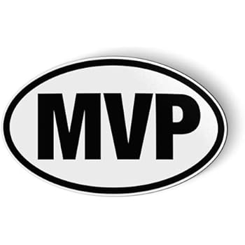 MVP - Flexible Magnet - Car Fridge Locker - 5.5