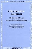 Zwischen Den Kulturen : Theorie und Praxis des Interkulturellen Dialogs, Hilfrich, Carola and Mosès, Stéphane, 3484651202