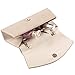 Women's Classic Envelope Evening Bag, WALLYN'S Wedding Prom Party Clutch Suede Velvet Handbag Purse (Beige)