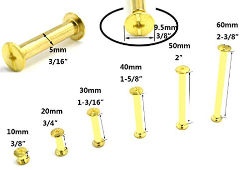 SpzcdZa 120pcs Golden Phillips Chicago Screw Binding Screws Posts Assortment Kit for Scrapbook Photo Albums Craft and DIY Leather Decoration Bookbinding(M5 x 10/20/30/40/50/60)