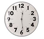 Taylor Precision Products Patio Clock (18-Inch)