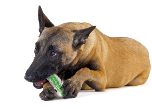 Crunching Water Bottle Durable Rubber Chew Toy For Dogs, Durable Chew Toy by Petstages, Medium