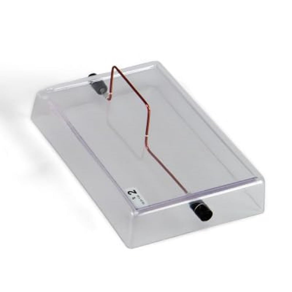 3B Scientific U8491791 Straight Conductor On Acrylic Base