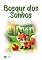 Livro Bosque dos Sonhos