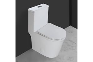 WinZo WZ5069 Small Modern One Piece Toilet Dual Flush 12" Rough in 23-in Depth Short for Compact Tiny Bathroom Powder Room White
