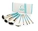 Carmindy & Co. 8-Piece Brush Kit